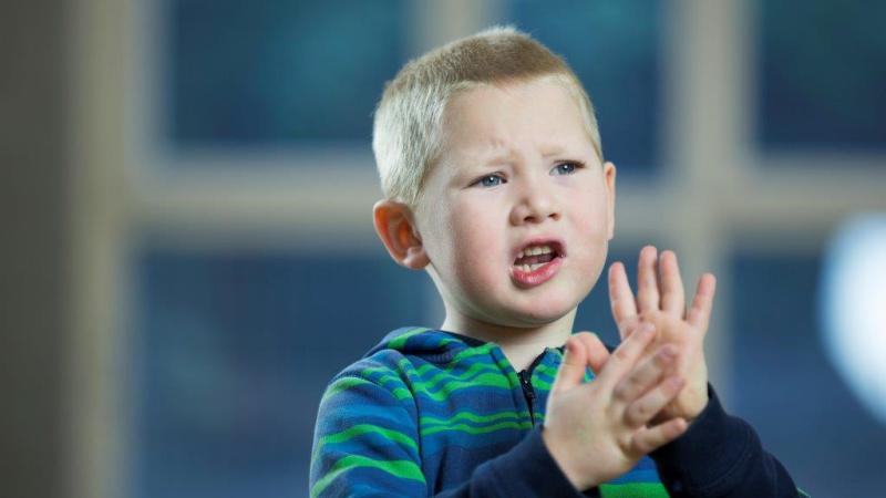 Wat is een taalontwikkelingsstoornis Een jongen praat en gebaart